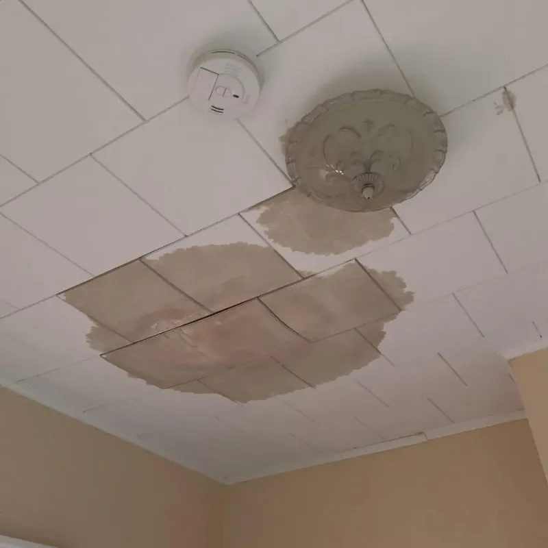 Ceiling Water Damage Repair in Arnolds Park, IA