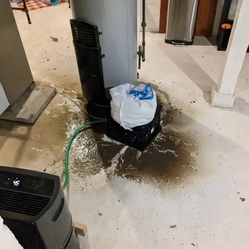 Sewage Backup Cleanup Service in Arnolds Park, IA